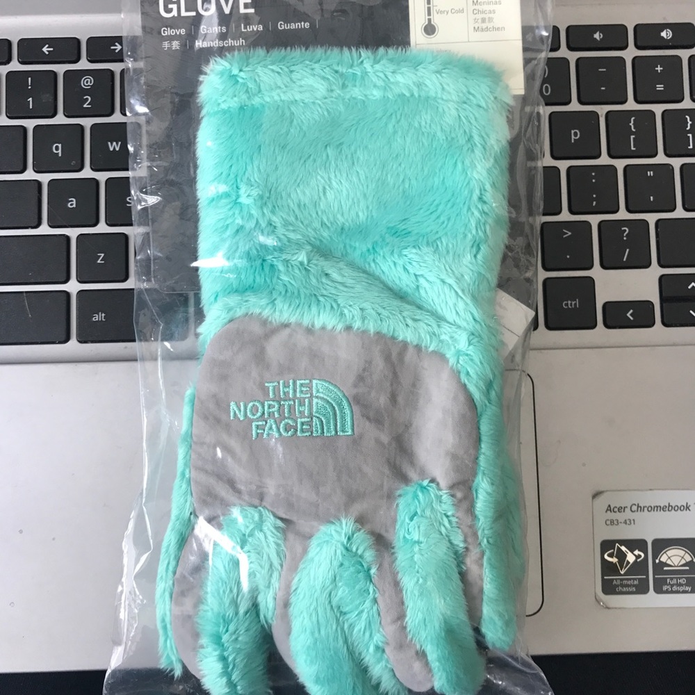 The North Face gloves, mint blue color